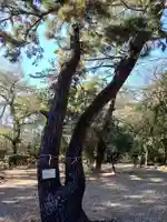 木庭八幡社(愛知県)