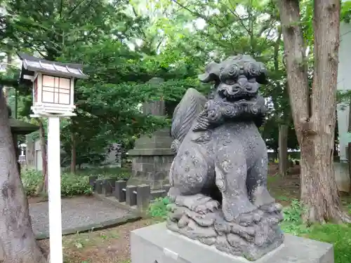 新琴似神社の狛犬