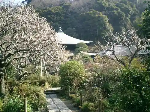 瑞泉寺の庭園