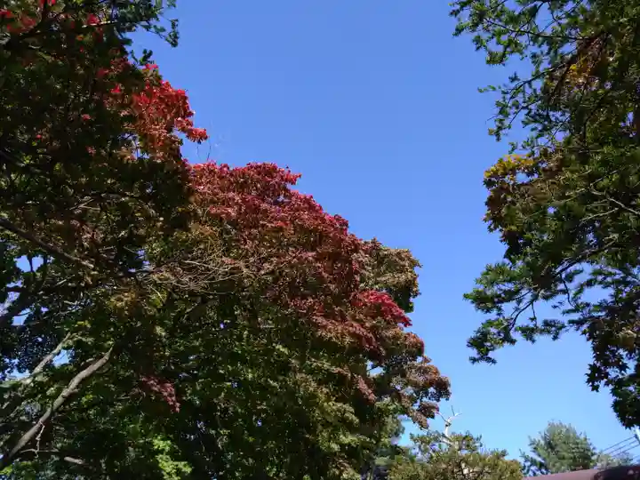 北広島市総鎮守 廣島神社(北海道)
