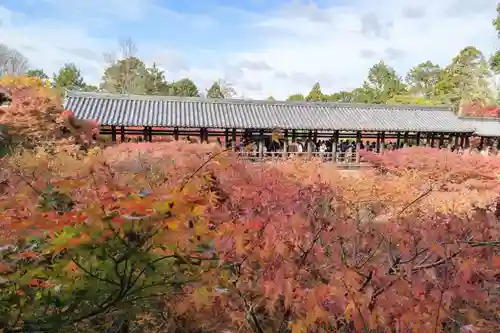 東福禅寺（東福寺）(京都府)