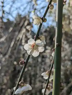 城南宮(京都府)