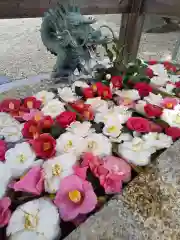 神館神社の手水