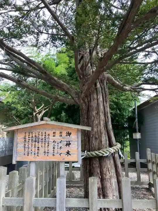 湯倉神社の自然