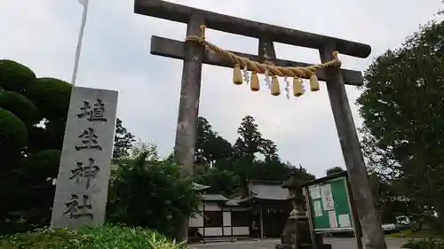 埴生神社の鳥居