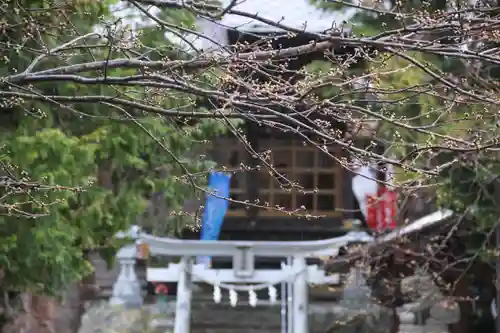 高司神社〜むすびの神の鎮まる社〜の景色