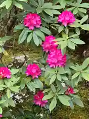 一條殿 新善光寺(京都府)