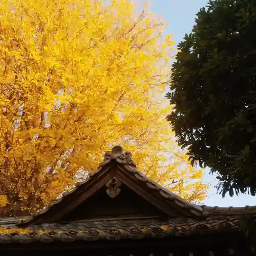 稼穡稲荷社の自然