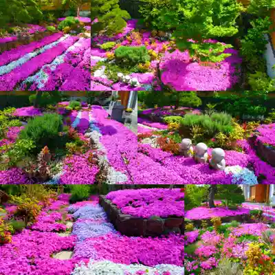 寿量山　速成寺(奈良県)