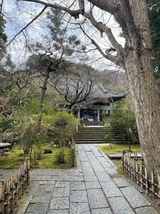 安國論寺(安国論寺)の{uncategorized: "未分類", other: "その他", undefined: "問題あり", building: "その他建物", grave: "お墓", sacred_gate: "鳥居", guardian: "狛犬", statue: "像", buddha: "仏像", history: "歴史", nature: "自然", garden: "庭園", animal: "動物", pagoda: "塔", temizu: "手水舎", mountain_gate: "山門・神門", sanctuary: "本殿・本堂", subordinate: "末社・摂社", art: "芸術", scenery: "景色", jizo: "地蔵", ema: "絵馬", goshuin: "御朱印", omikuji: "おみくじ", items: "授与品その他", amulet: "お守り", goshuincho: "御朱印帳", eats: "食事", festival: "お祭り", votive_dance: "神楽", shichigosan: "七五三参", wedding: "結婚式", experience: "体験その他", initially: "初詣", around: "周辺", anti_infection: "感染症対策"}