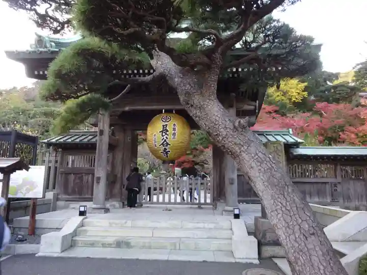 長谷寺の山門・神門