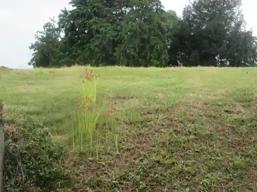 八坂神社(神奈川県)