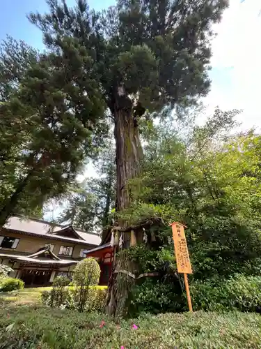 香取神宮(千葉県)