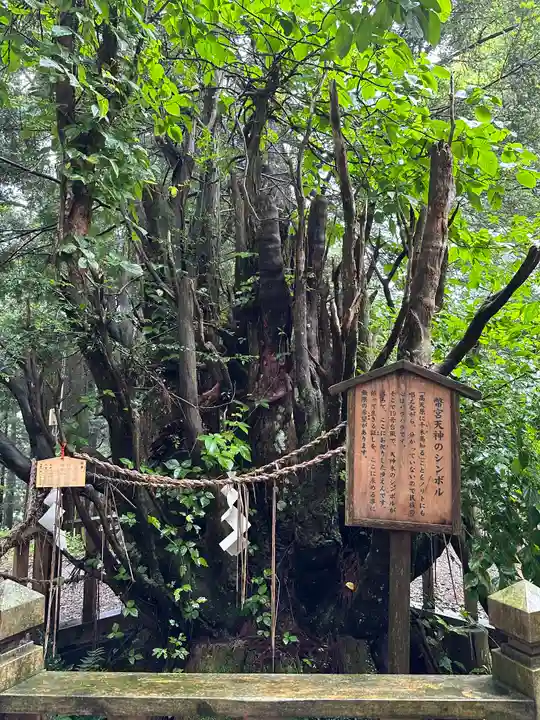 幣立神宮(熊本県)