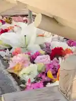 鳩森八幡神社(東京都)