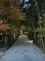 來宮神社(静岡県)