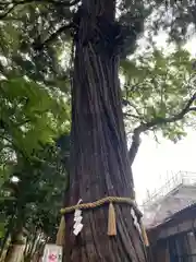 息栖神社(茨城県)