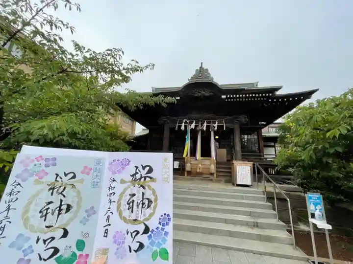 桜神宮の御朱印
