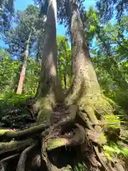 戸隠神社奥社(長野県)