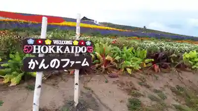 美瑛神社の周辺