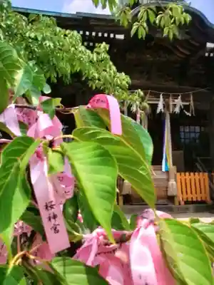 桜神宮(東京都)
