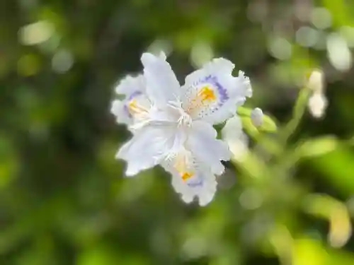 西方山極楽寺(岐阜県)