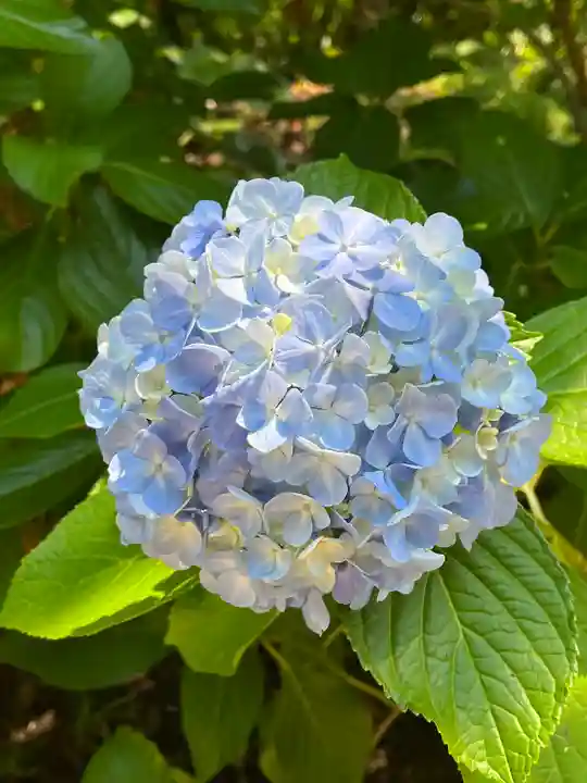 円覚寺(神奈川県)