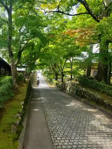 永源寺の建物その他