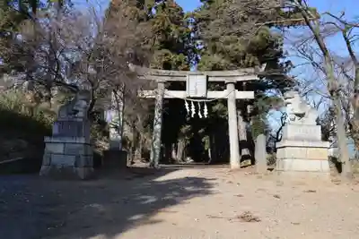 千代ケ岡八幡宮の鳥居