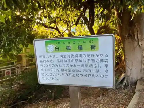 白狐稲荷(千葉県)