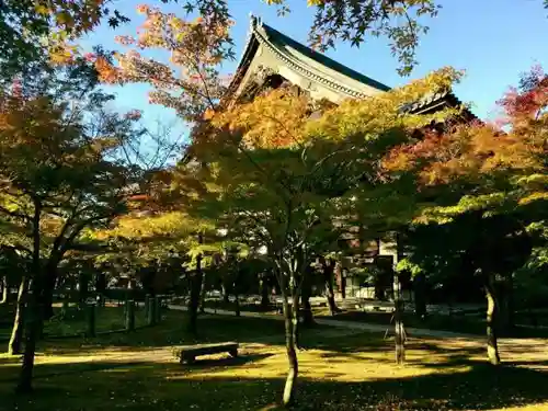 真正極楽寺（真如堂）の庭園