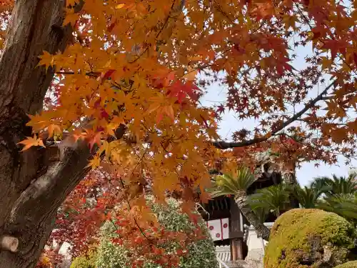明王院(広島県)
