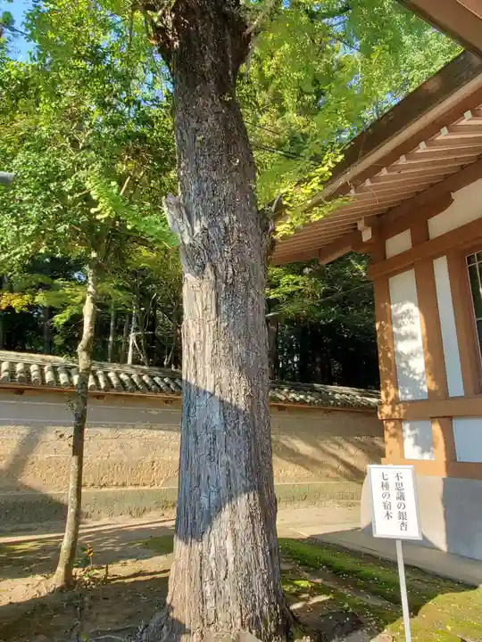 多田神社の自然