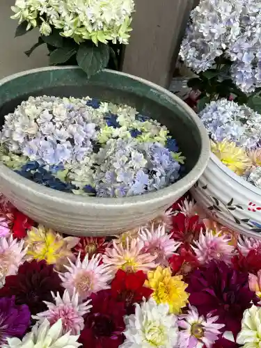 岡寺（龍蓋寺）(奈良県)