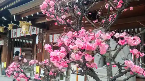 櫛田神社の自然