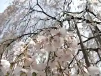 足羽神社(福井県)