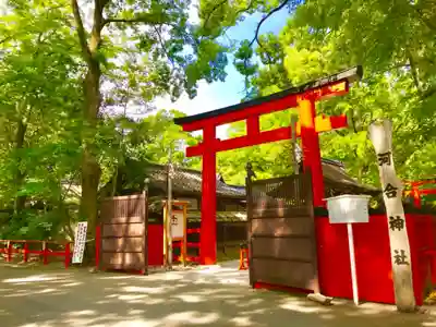 河合神社(鴨川合坐小社宅神社)の鳥居