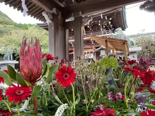 宮地嶽神社の手水舎