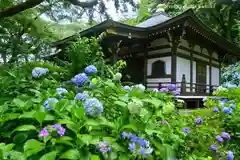 妙楽寺(神奈川県)