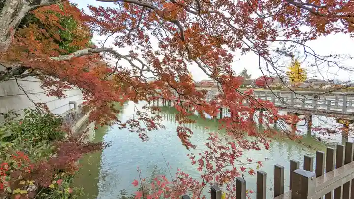 長岡天満宮(京都府)