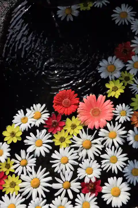 大鏑神社の手水舎