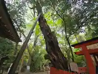 水谷神社(奈良県)