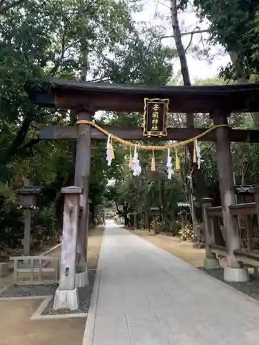 辛國神社の鳥居