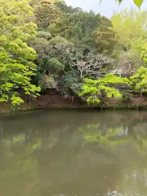 安房神社の{uncategorized: "未分類", other: "その他", undefined: "問題あり", building: "その他建物", grave: "お墓", sacred_gate: "鳥居", guardian: "狛犬", statue: "像", buddha: "仏像", history: "歴史", nature: "自然", garden: "庭園", animal: "動物", pagoda: "塔", temizu: "手水舎", mountain_gate: "山門・神門", sanctuary: "本殿・本堂", subordinate: "末社・摂社", art: "芸術", scenery: "景色", jizo: "地蔵", ema: "絵馬", goshuin: "御朱印", omikuji: "おみくじ", items: "授与品その他", amulet: "お守り", goshuincho: "御朱印帳", eats: "食事", festival: "お祭り", votive_dance: "神楽", shichigosan: "七五三参", wedding: "結婚式", experience: "体験その他", initially: "初詣", around: "周辺", anti_infection: "感染症対策"}