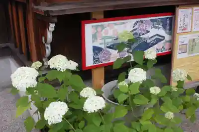 六孫王神社(京都府)