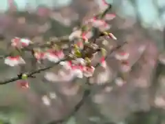 今帰仁里主所火の神(沖縄県)