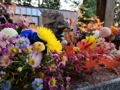 滑川神社 - 仕事と子どもの守り神の手水