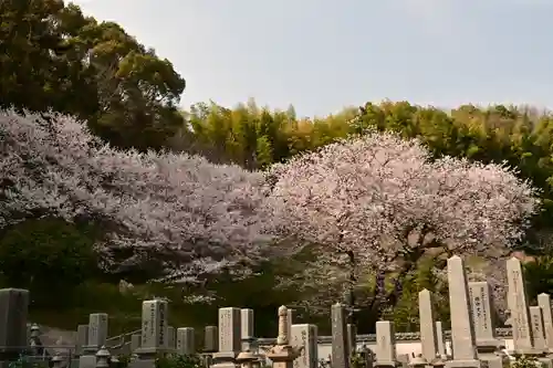 掌禅寺(愛媛県)