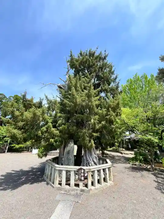 道成寺(和歌山県)
