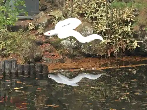 大谷寺の狛犬